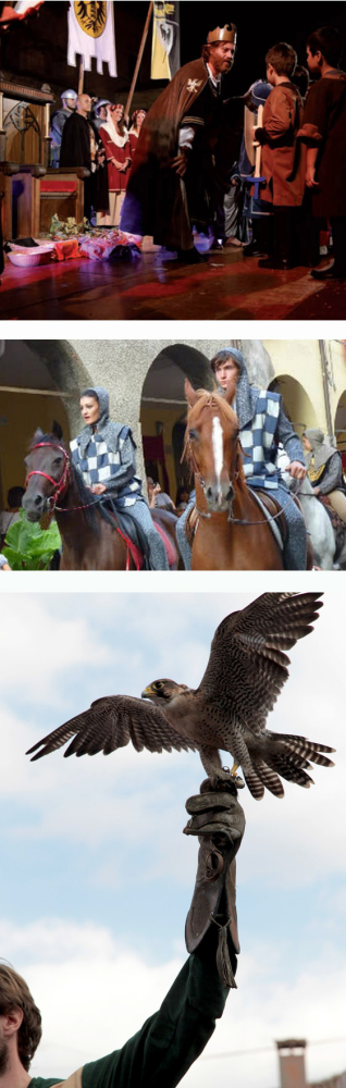 Rievocazione Storica del Barbarossa - XXV edizione Rievocazione Storica del Barbarossa - XXV edizione